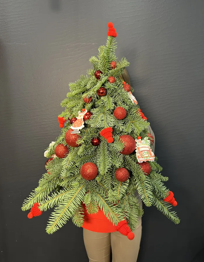 Зимняя красавица