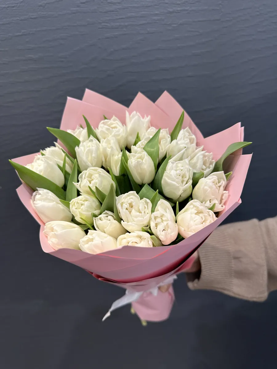 25 белых тюльпанов